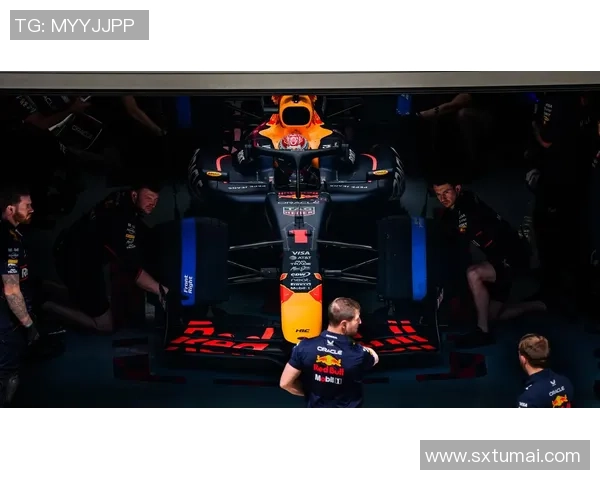 F1赛车燃料策略对比赛表现与赛道策略的综合影响分析